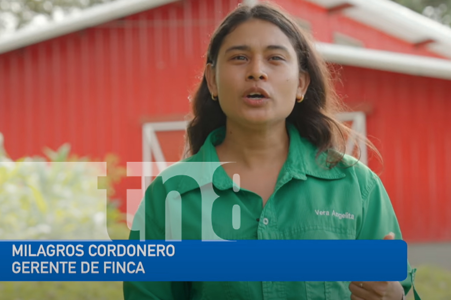 Foto: Rincón ecológico que todos quieren visitar/ TN8