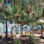 Isla de Ometepe, recibe a cientos de turistas, durante vacaciones patrias Foto: Isla de Ometepe, recibe a cientos de turistas, durante vacaciones patrias/TN8