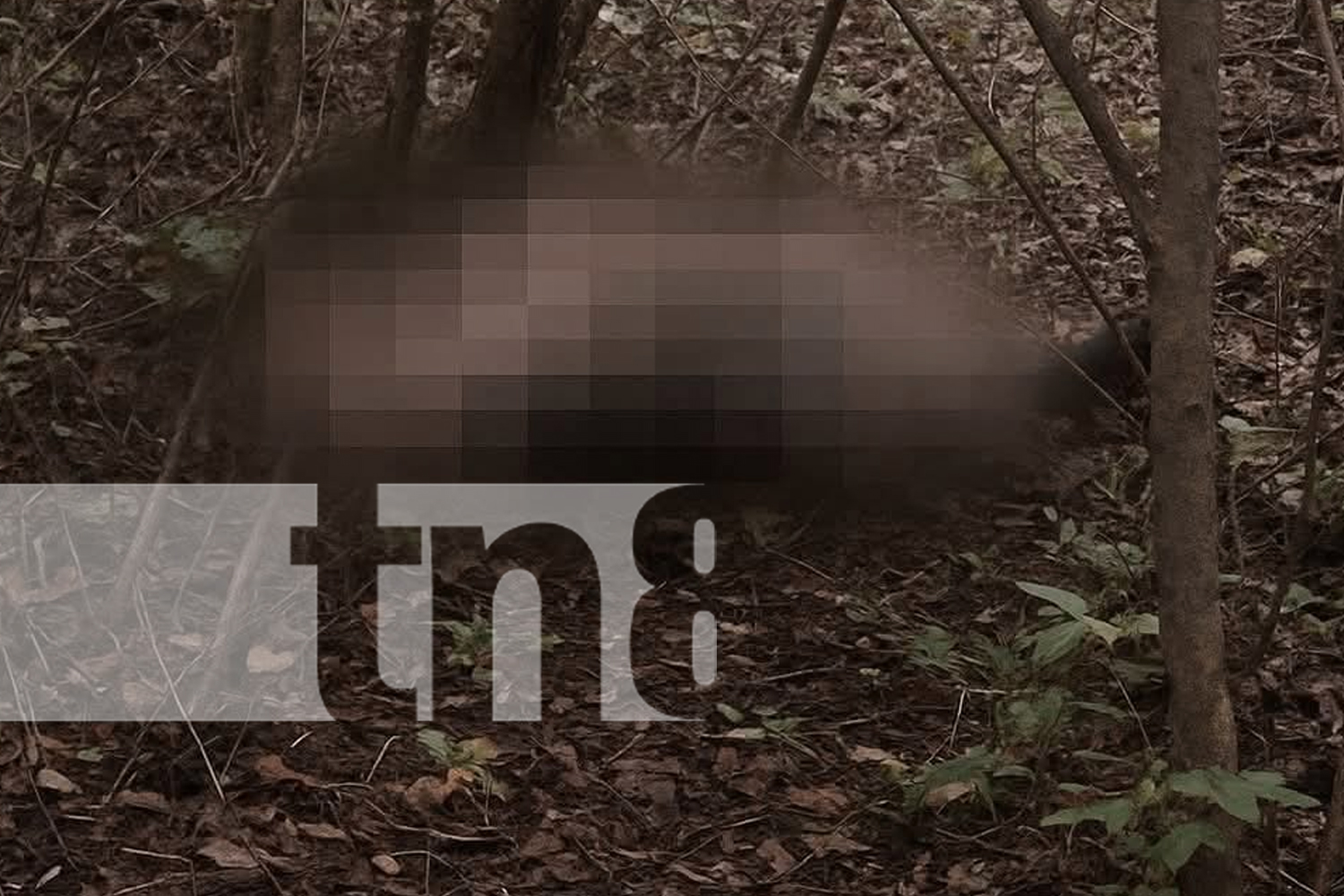 Foto: León, Malpaisillo hallan sin vida a adolescente en zona rural de/TN8