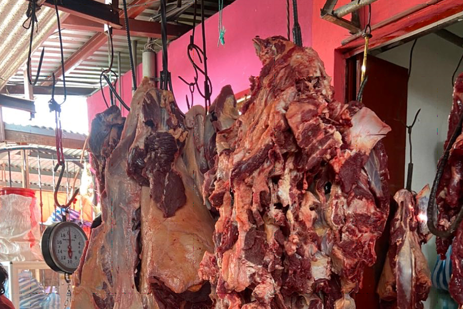 Foto: Nicaragua impulsa economía y exportaciones/Cortesía