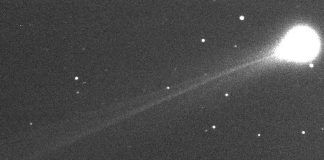 Foto: 3I/ATLAS vuelve a brillar tras su paso por el Sol/Cortesía