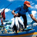 Venezuela denuncia a EE. UU. por interceptar pesquero en aguas del Caribe Foto:Venezuela acusa a EE.UU. de obstaculizar la pesca con maniobras militares/Cortesía