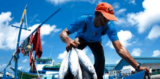 Foto:Venezuela acusa a EE.UU. de obstaculizar la pesca con maniobras militares/Cortesía
