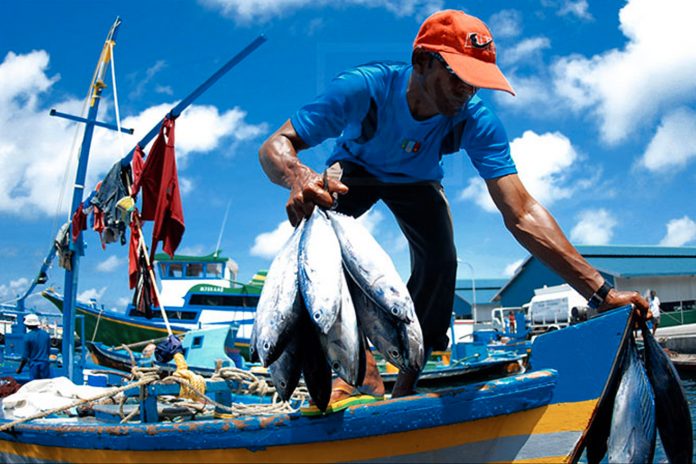 Foto:Venezuela acusa a EE.UU. de obstaculizar la pesca con maniobras militares/Cortesía