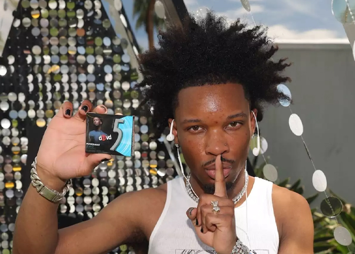 Foto: Misterioso hallazgo en Tesla de D4vd /cortesía