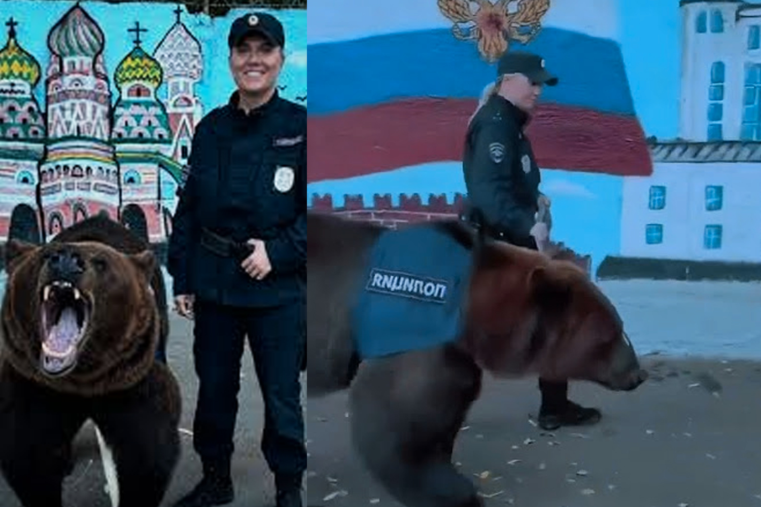 Foto:Lo más ruso que verás hoy: oficial y oso patrullan juntos/Cortesía