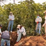 Encuentran 61 bolsas con restos humanos en fosa clandestina de Zapopan Foto:Fosa clandestina suma 61 bolsas con restos humanos/Cortesía