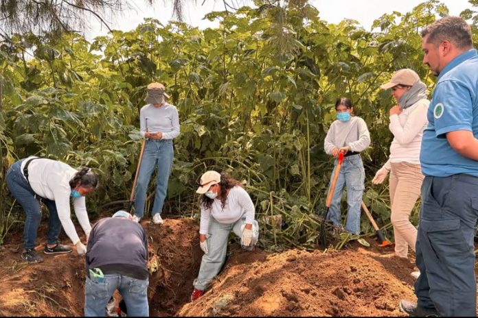 2 Foto:Fosa clandestina suma 61 bolsas con restos humanos/Cortesía