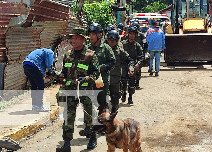 Foto: Simulacro Nacional en Barrio Grenada /TN8