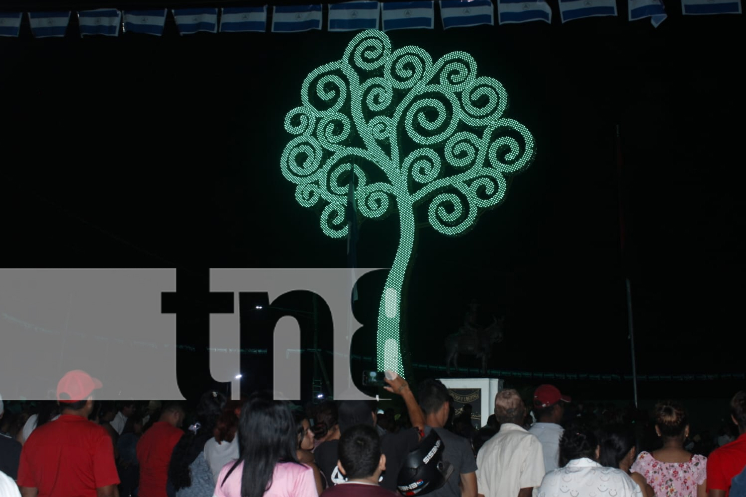 Foto: Nueva Segovia suma otro Árbol de la Vida en Jalapa / TN8