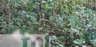 Foto: Horror en San Marcos: hallan cadáver en predios montosos del barrio Bruselas/TN8