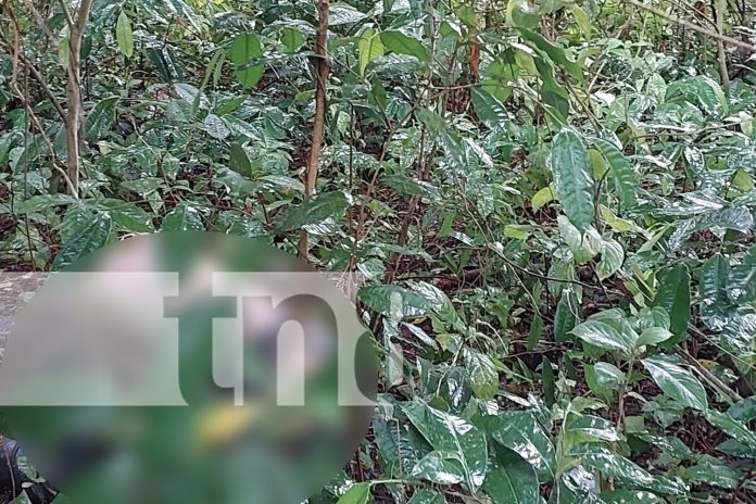 2 Foto: Horror en San Marcos: hallan cadáver en predios montosos del barrio Bruselas/TN8