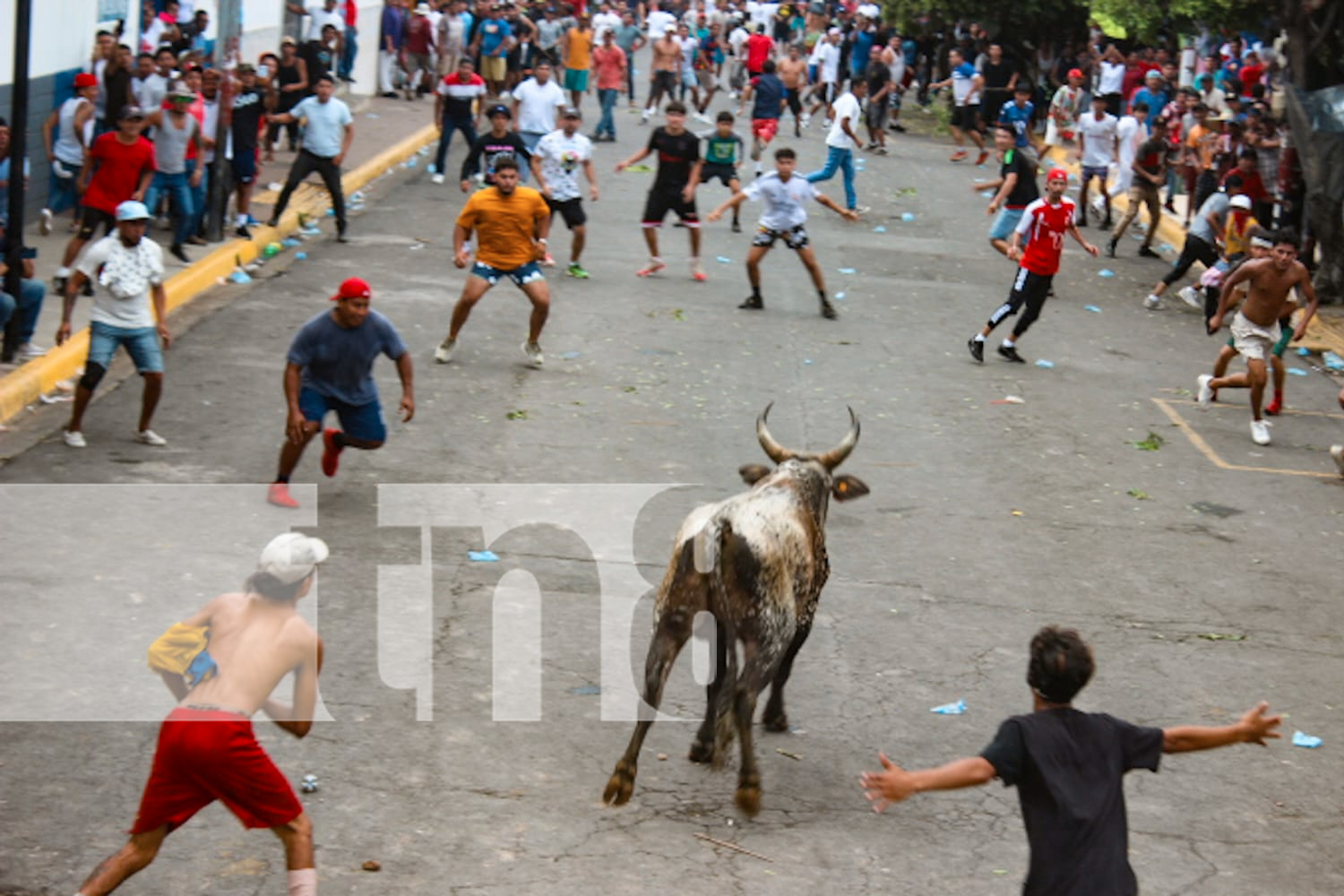 Foto: Masaya se desborda de cultura en el Tope de Toros/TN8