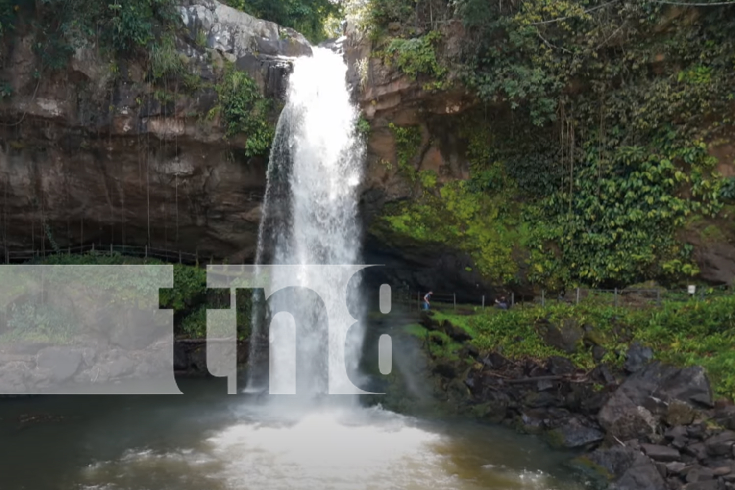 Foto: Rincón ecológico que todos quieren visitar/ TN8