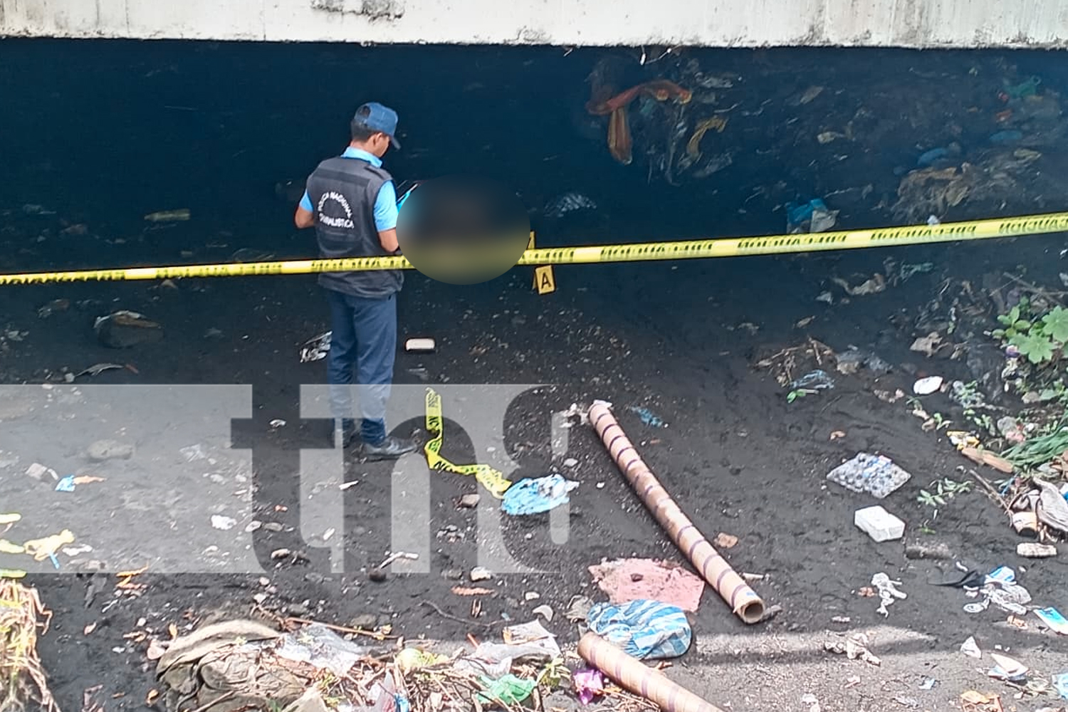 Foto: Investigan caso en la carretera Norte /TN8