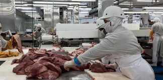 Foto: Nicaragua impulsa economía y exportaciones/Cortesía