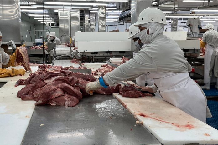 Foto: Nicaragua impulsa economía y exportaciones/Cortesía