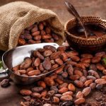 ¿Sabías que el cacao podría frenar el envejecimiento y prevenir enfermedades? Foto: Cacao y salud cardiovascular /cortesía