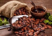 ¿Sabías que el cacao podría frenar el envejecimiento y prevenir enfermedades? Foto: Cacao y salud cardiovascular /cortesía