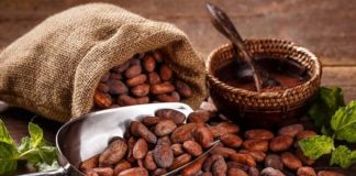 Foto: Cacao y salud cardiovascular /cortesía