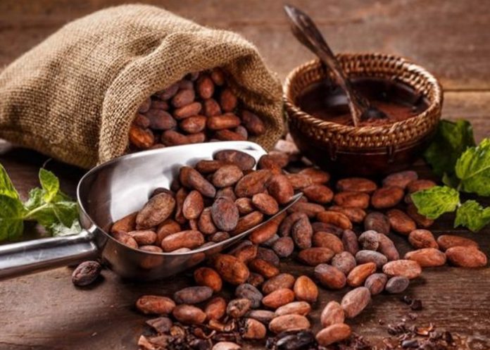 Foto: Cacao y salud cardiovascular /cortesía Foto: Cacao y salud cardiovascular /cortesía