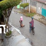 Video evidencia descarado robo a una señora en Ciudad Sandino Foto: Ciudad Sandino ladrones roban a una señora/TN8