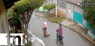 Foto: Ciudad Sandino ladrones roban a una señora/TN8