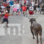 Masaya vibra al ritmo del Tope de Toros: tradición, color y alegría en cada calle Foto: Masaya se desborda de cultura en el Tope de Toros/TN8