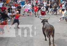 Foto: Masaya se desborda de cultura en el Tope de Toros/TN8