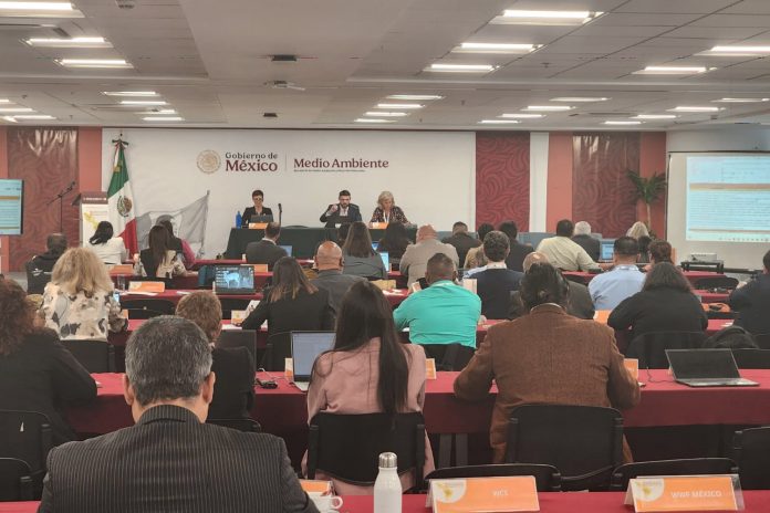 Foto: Nicaragua impulsa cooperación regional para proteger al jaguar/Cortesía Foto: Nicaragua impulsa cooperación regional para proteger al jaguar/Cortesía