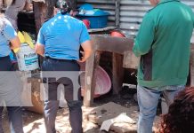 Conmoción en Mateare por el hallazgo de un feto arrastrado por corrientes Foto: Investigación en Mateare tras hallazgo /TN8