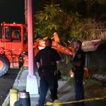 Terror en Nueva York: hallan cráneo y restos humanos cerca de centro comercial Foto: Macabro hallazgo en Nueva York /Cortesía