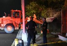 Terror en Nueva York: hallan cráneo y restos humanos cerca de centro comercial Foto: Macabro hallazgo en Nueva York /Cortesía