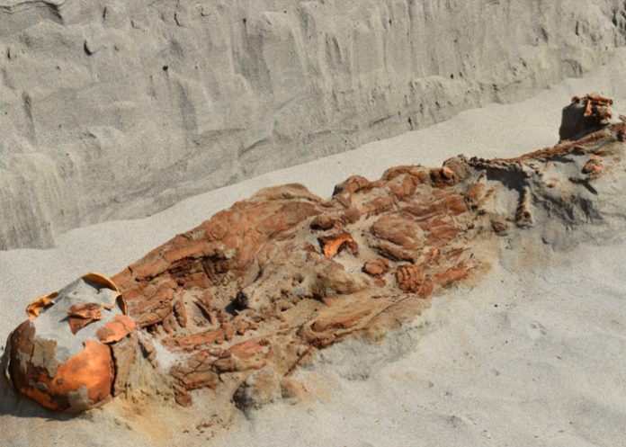 Foto: Hallazgo en Perú /cortesía Foto: Hallazgo en Perú /cortesía