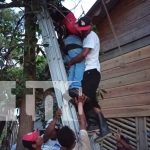 Tragedia en Waspam: Hombre muere electrocutado mientras podaba un árbol Foto: Fatal accidente en Bilwi, Costa Caribe Norte /TN8
