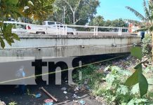 Encuentran cuerpo de fémina bajo un puente en la carretera Norte Foto: Investigan caso en la carretera Norte /TN8