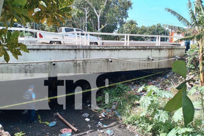 Foto: Investigan caso en la carretera Norte /TN8