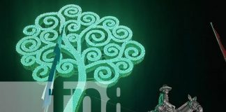 Foto: Nueva Segovia suma otro Árbol de la Vida en Jalapa / TN8