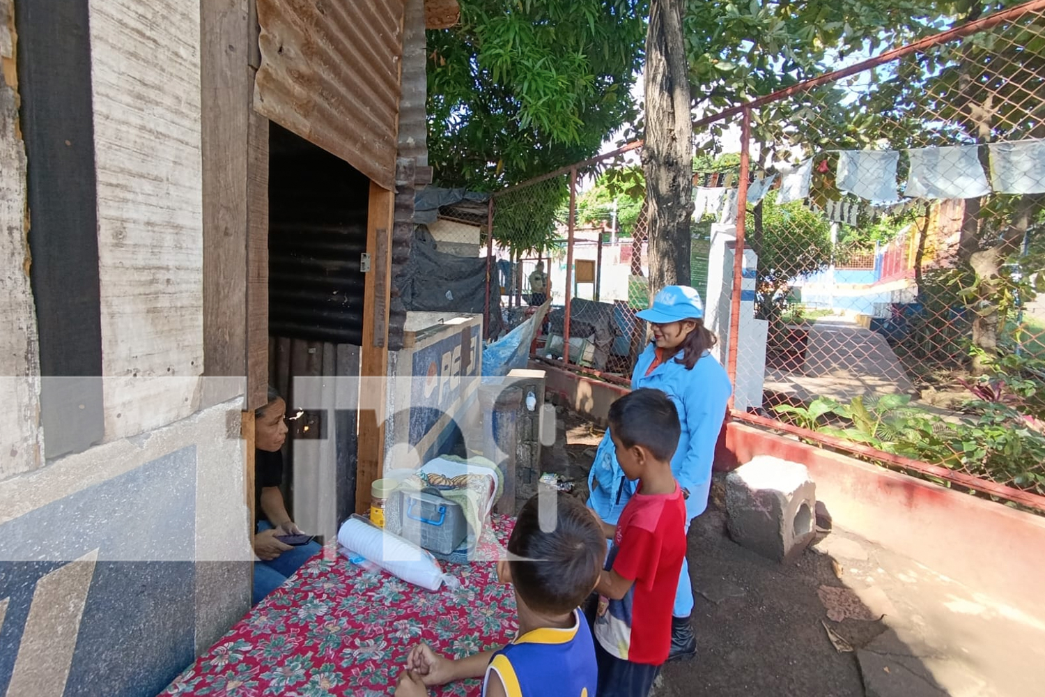 Foto: Managua abre puertas para acabar con los zancudos /TN8