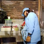 Fumigación y abate: la batalla por la salud sigue en barrios de Managua Foto: Managua abre puertas para acabar con los zancudos /TN8