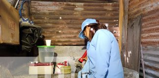 Foto: Managua abre puertas para acabar con los zancudos /TN8