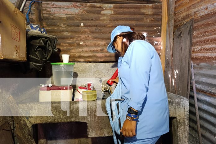 Foto: Managua abre puertas para acabar con los zancudos /TN8 Foto: Managua abre puertas para acabar con los zancudos /TN8