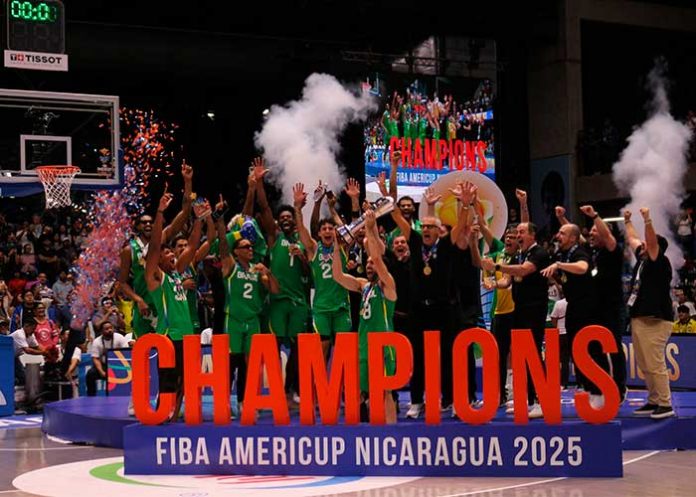 BRASIL-WEB brasil, americup, argentina