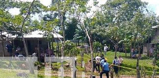 Foto: Endemoniado hombre machetea y arrastra a mujer con un caballo en Muelle de los Bueyes /TN8