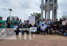 Foto: Madroños en Managua / TN8