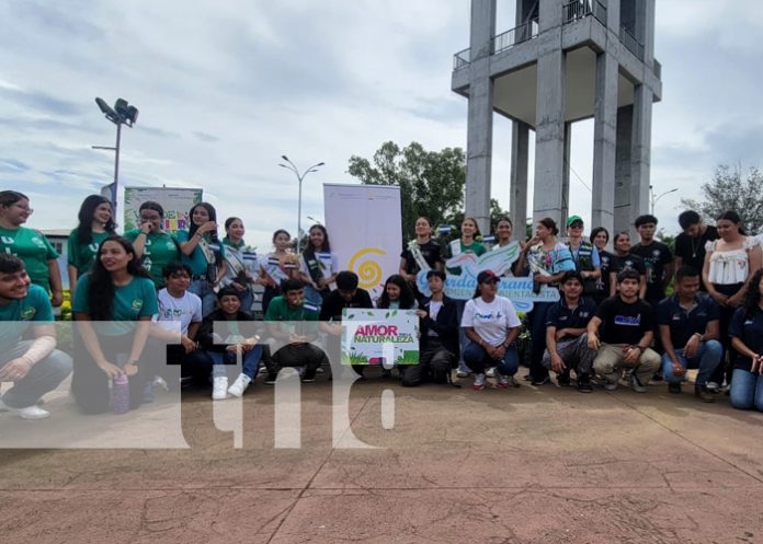 Foto: Madroños en Managua / TN8 Foto: Madroños en Managua / TN8