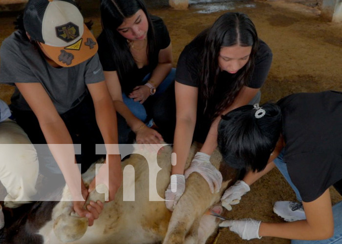 Foto: Centro Tecnológico Héroes y Mártires de Asturias, en las montañas de Nicaragua / TN8