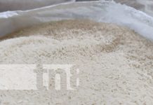 Foto: Monitoreo por precios de canasta básica en Nicaragua / TN8