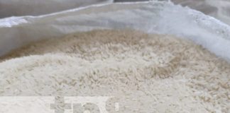 Foto: Monitoreo por precios de canasta básica en Nicaragua / TN8