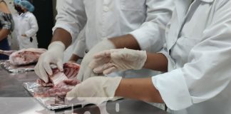 Foto: Escuela especializada en la Universidad Agraria para el corte y manejo de carnes en Nicaragua / TN8